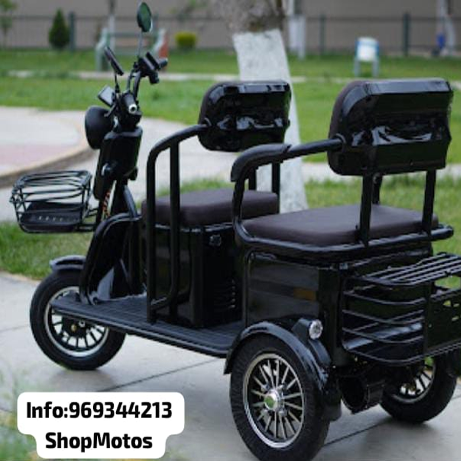 MOTO ELECTRICA 1000W.fw